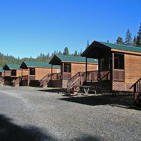 Yosemite Lakes Cabin 37 Harden Flat Exteriör bild