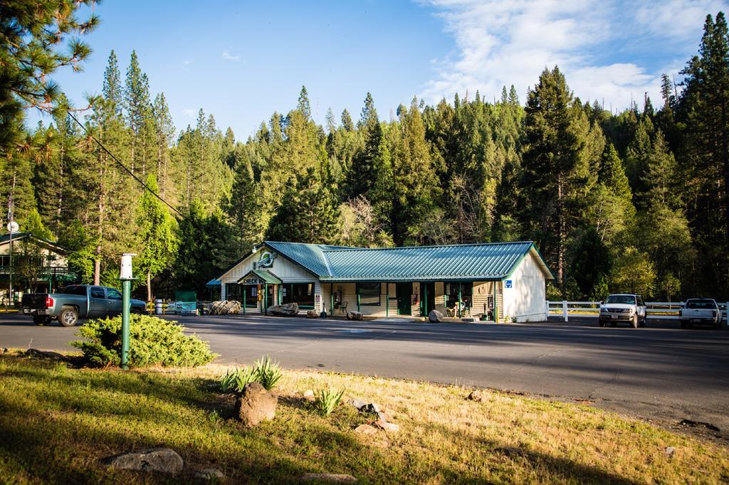 Yosemite Lakes Cabin 37 Harden Flat Exteriör bild