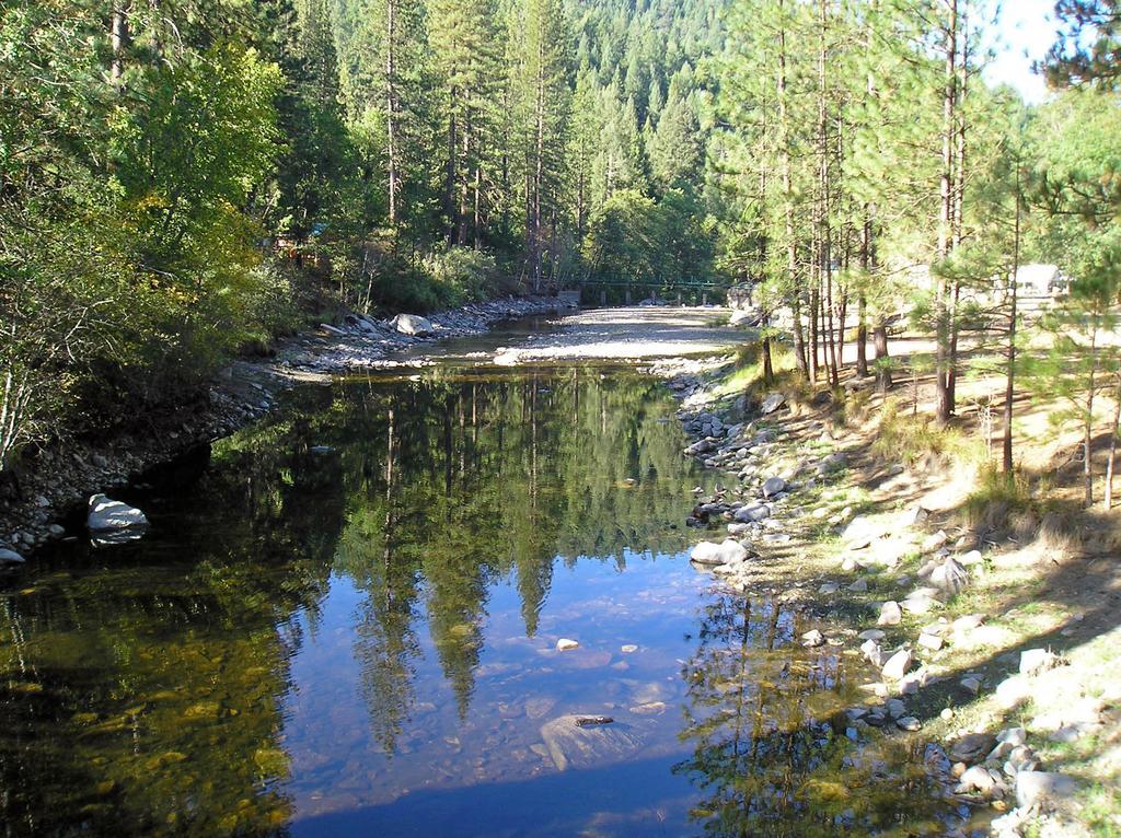 Yosemite Lakes Cabin 37 Harden Flat Exteriör bild